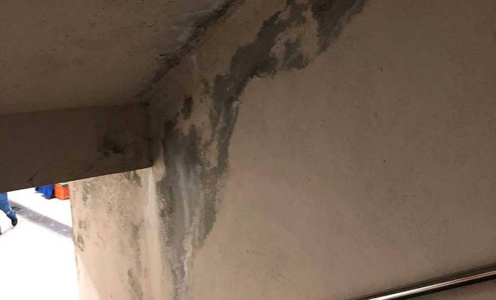 Gıda Satılan Yerde İstenmeyen Görüntüler