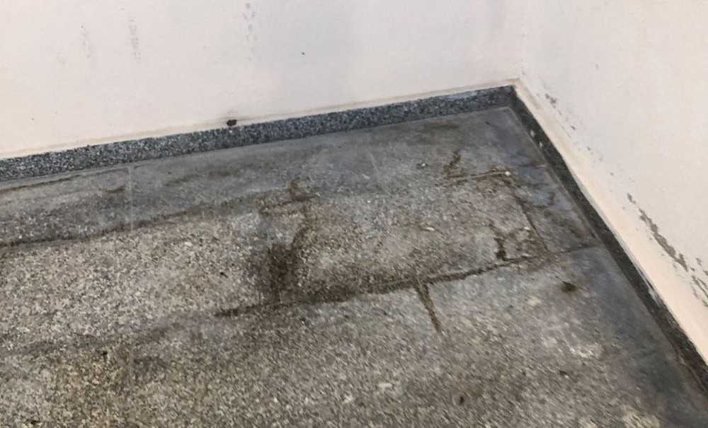 Gıda Satılan Yerde İstenmeyen Görüntüler