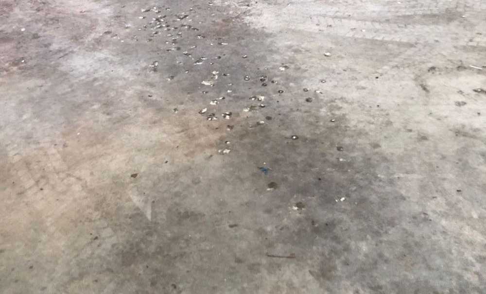 Gıda Satılan Yerde İstenmeyen Görüntüler