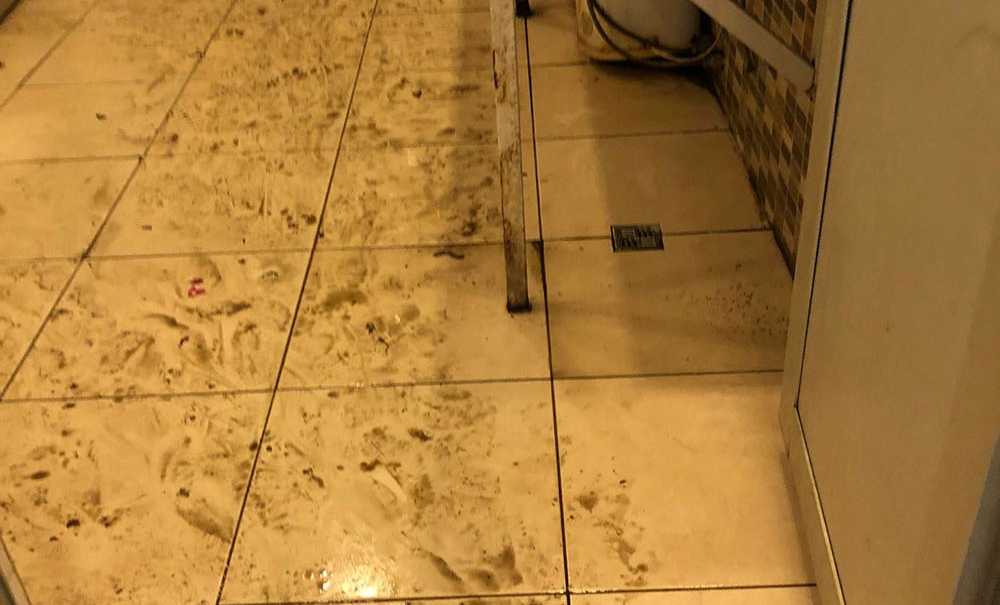 Gıda Satılan Yerde İstenmeyen Görüntüler