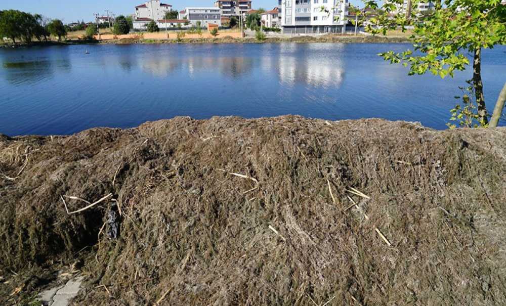 Gölette Büyük Temizlik Ve Yenileme Çalışması