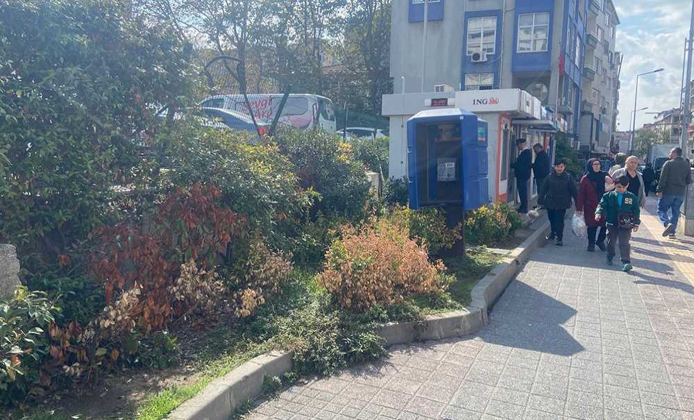 Görüntü Kirliğinin Önüne Geçilsin!