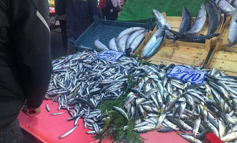 Hamsi Fiyatları Cep Yakıyor