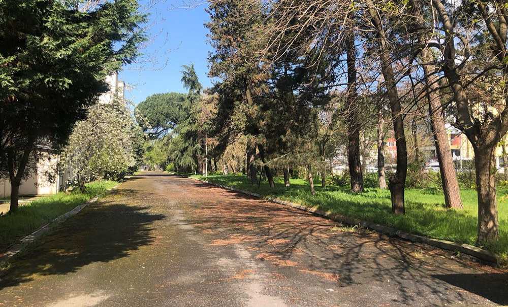 Hastane Bahçesinin Bakımsızlığına Tepki!