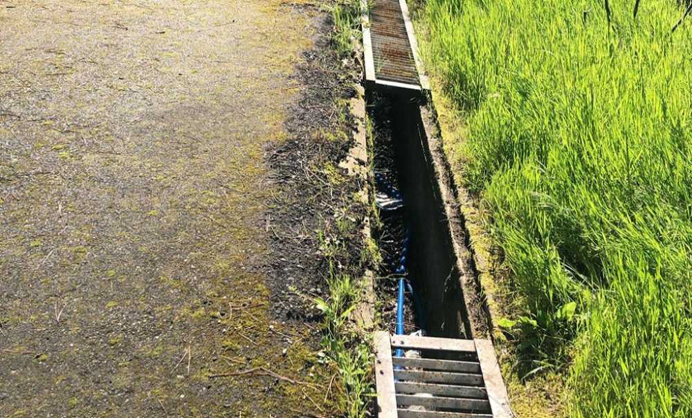 Hastane Bahçesinin Bakımsızlığına Tepki!