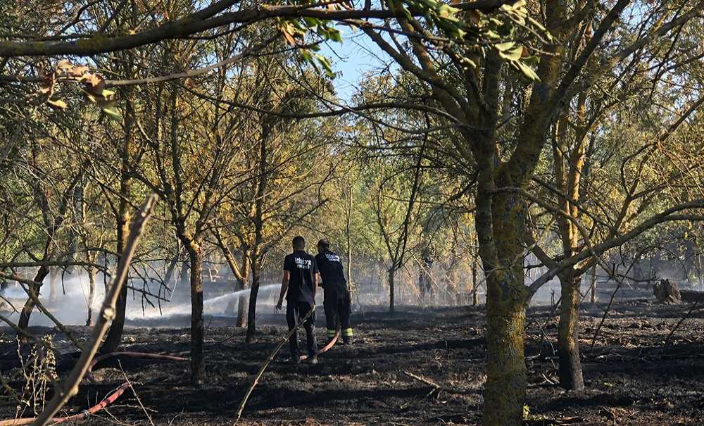 Hatıra Ormanında Korkutan Yangın