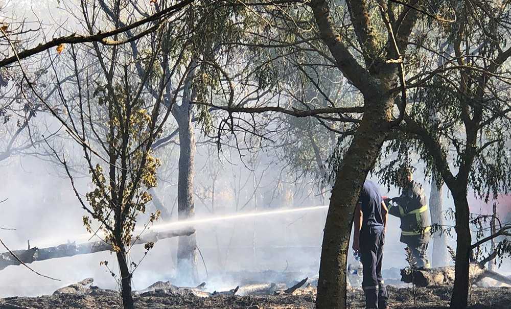 Hatıra Ormanında Korkutan Yangın