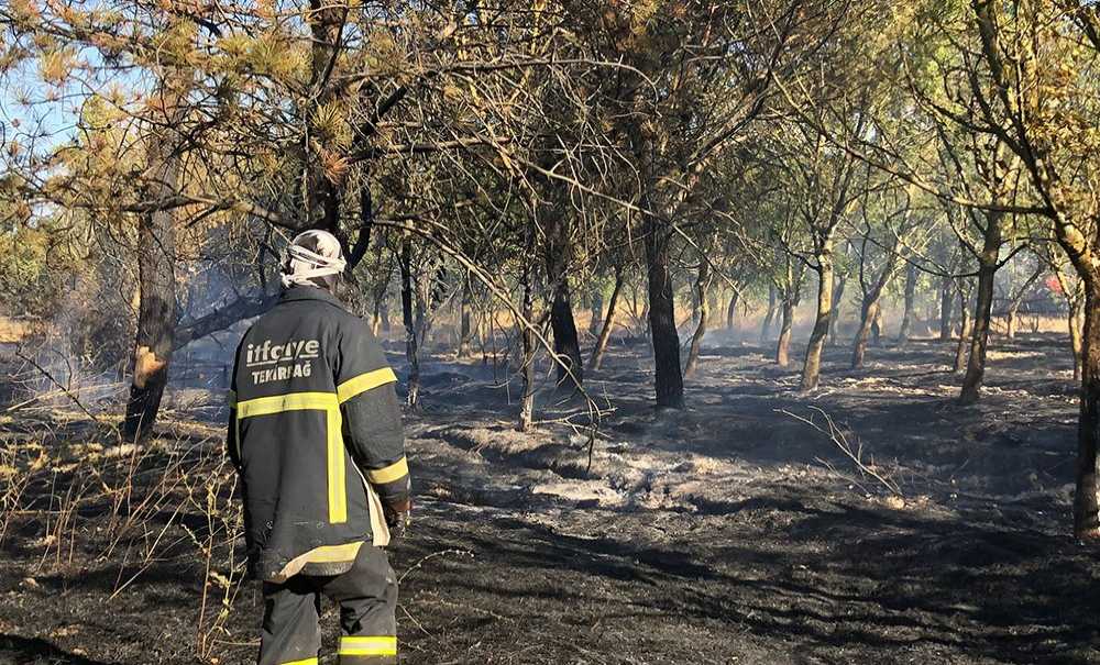 Hatıra Ormanında Korkutan Yangın