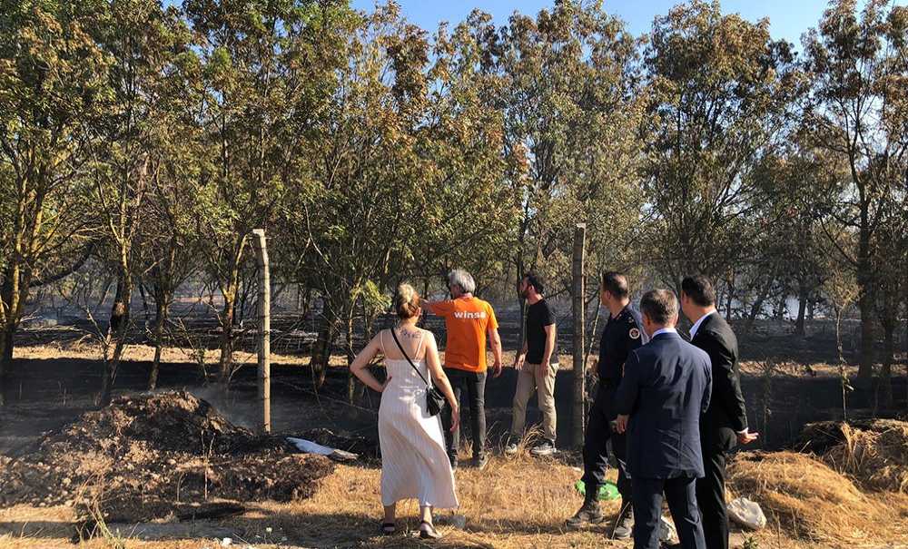 Hatıra Ormanında Korkutan Yangın