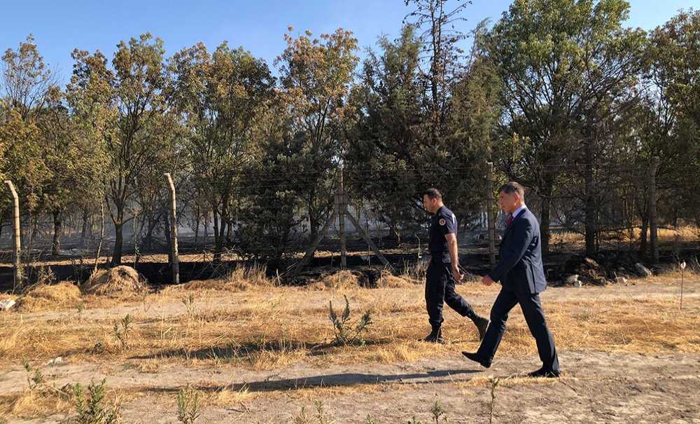 Hatıra Ormanında Korkutan Yangın