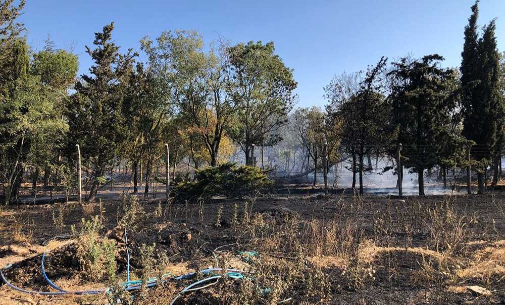 Hatıra Ormanında Korkutan Yangın