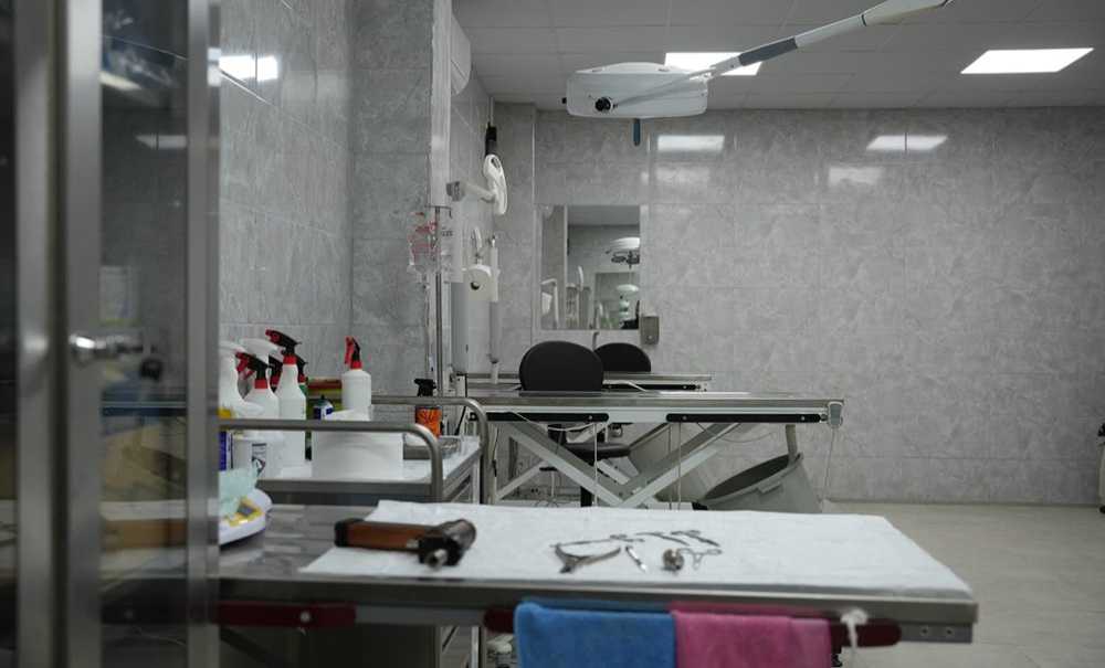 Hayvan Bakımevinin Açılışı Yapıldı