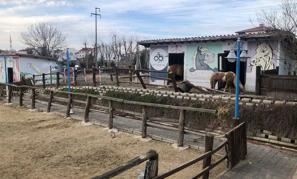 Hayvanat Bahçesi Çorlu'ya Yakışmıyor