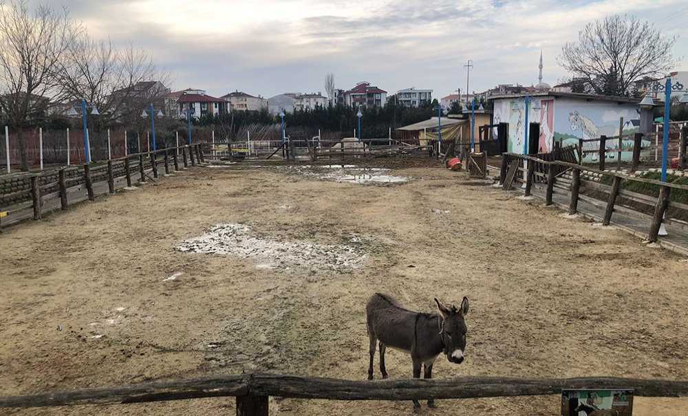 Hayvanat Bahçesi Çorlu'ya Yakışmıyor
