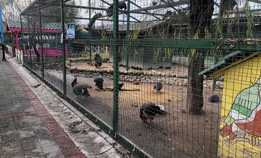 Hayvanat Bahçesi Çorlu'ya Yakışmıyor