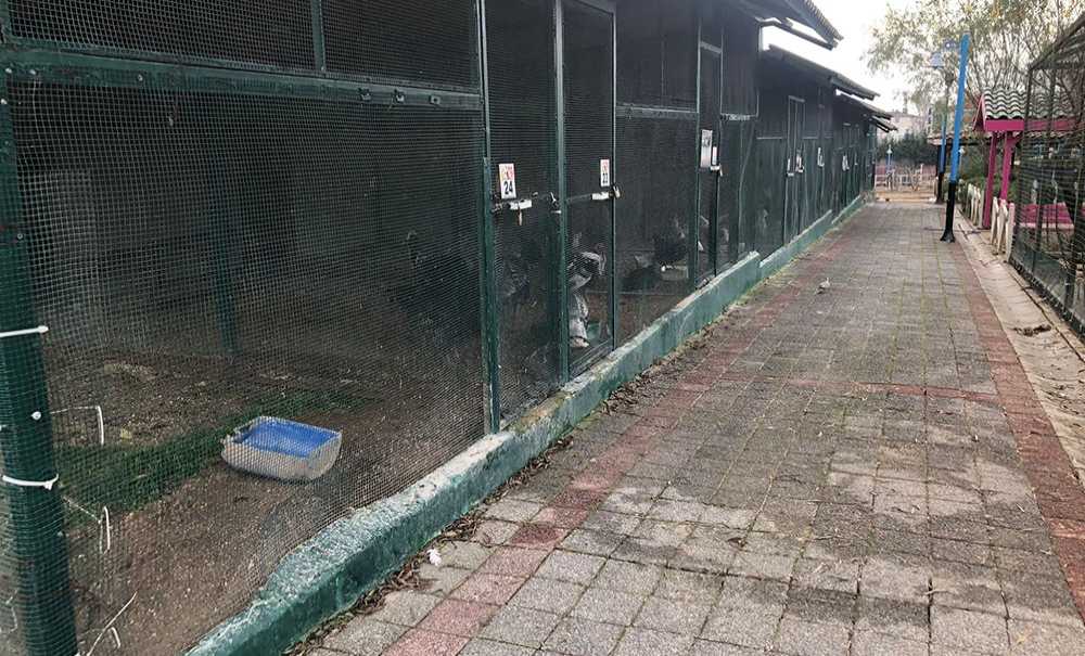 Hayvanat Bahçesi Çorlu'ya Yakışmıyor