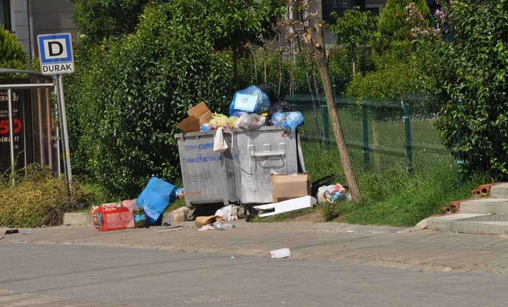 Her Gün 300 Ton Çöp Toplanıyor