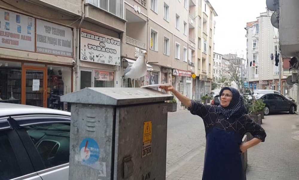 Her Sabah Martıyı Beslemesi Takdir Topluyor