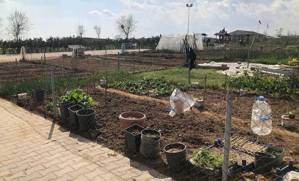 Hobi Bahçesi'nde Üretim Başladı