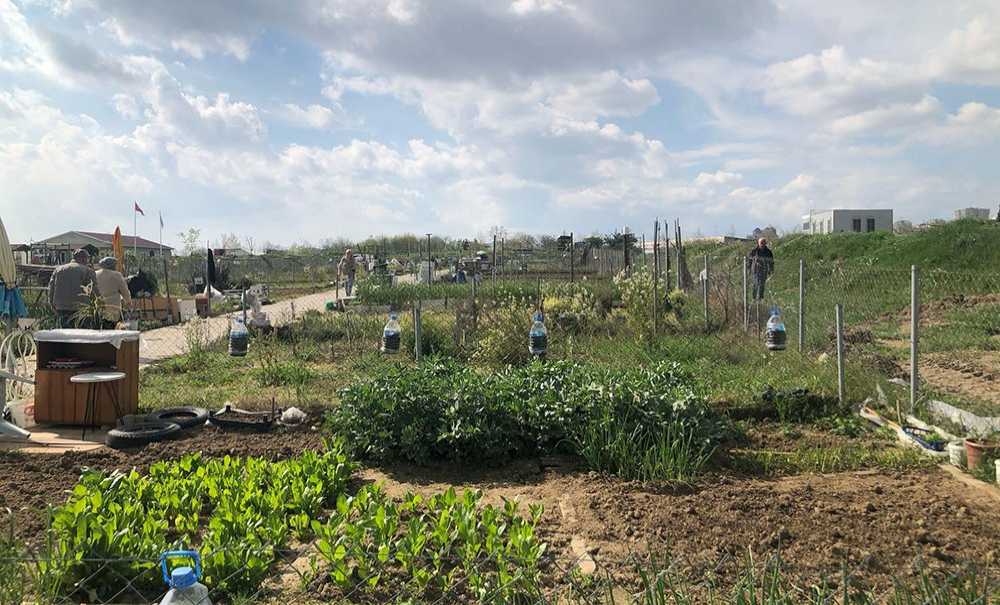 Hobi Bahçesi'nde Üretim Başladı