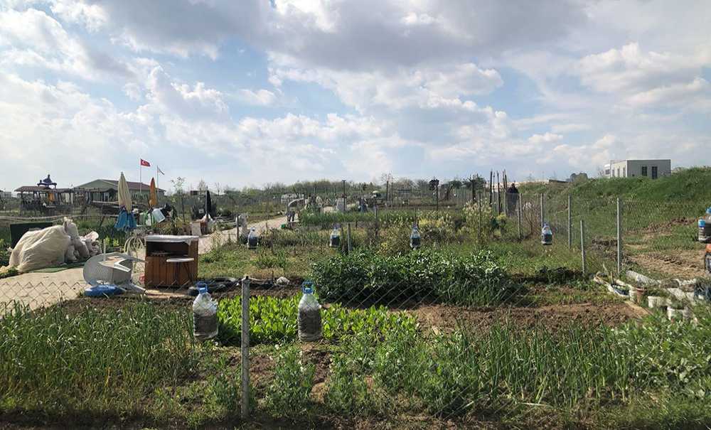 Hobi Bahçesi'nde Üretim Başladı