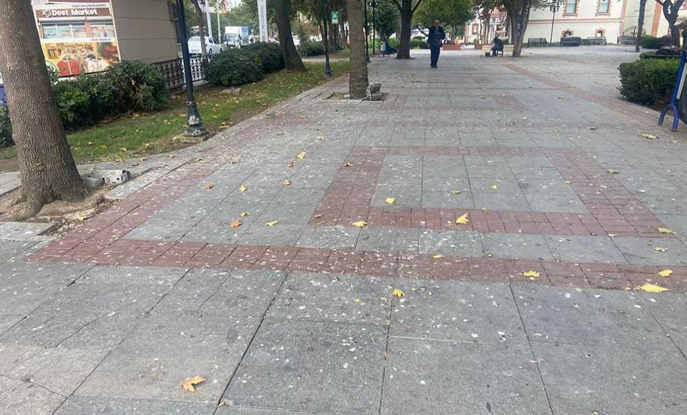Kaldırımların Üzeri Kuş Pisliğinden Geçilmiyor