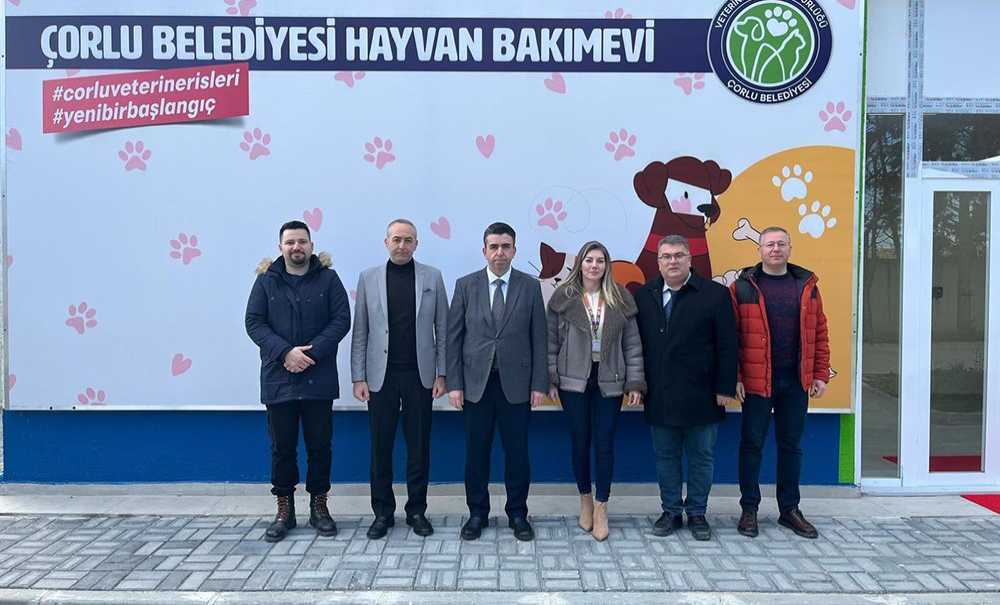 Kaymakam Eren, İncelemelerde Bulundu