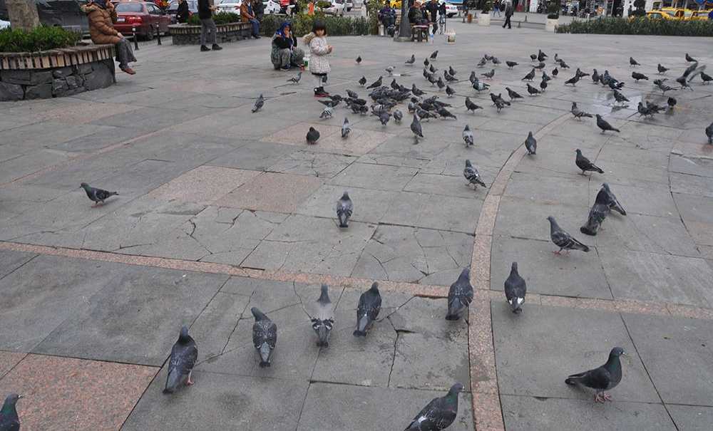 Kırık Taşlar Yenileriyle Değiştiriliyor