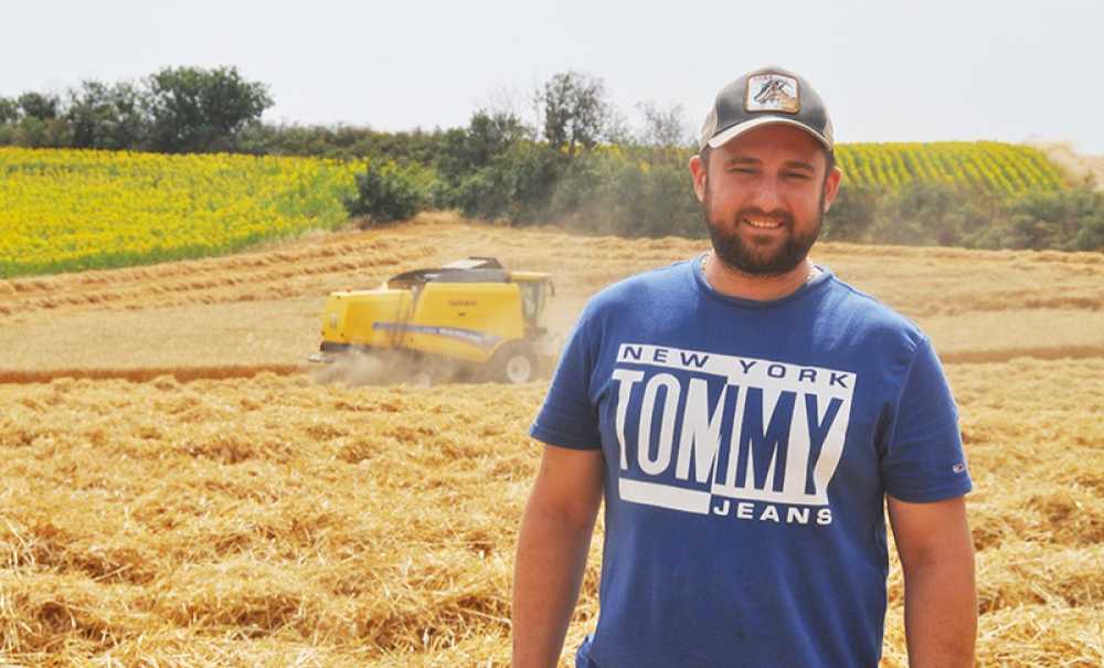 Kuraklık Nedeniyle Ekilen Kanolalar Bozuluyor