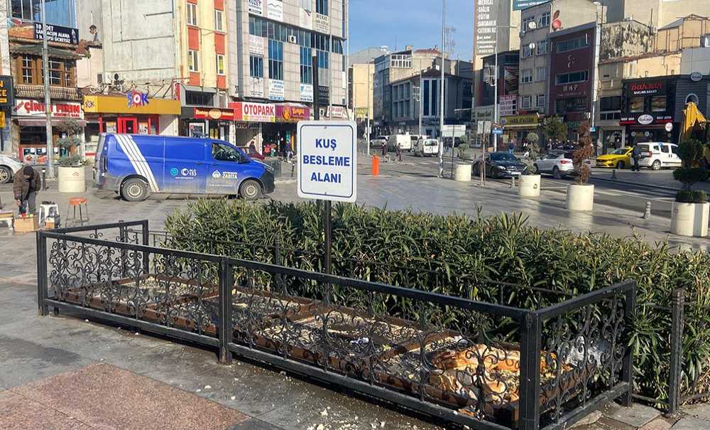 Kuş Besleme Alanında İstenmeyen Görüntüler