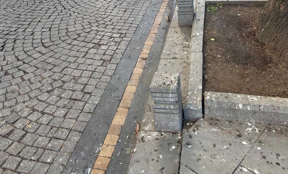 Kuş Pislikleri Tepki Çekiyor