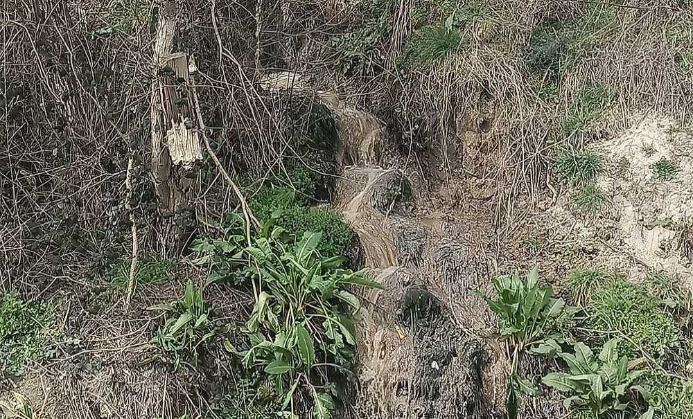 Lağım Suları Dereye Mi Akıyor?