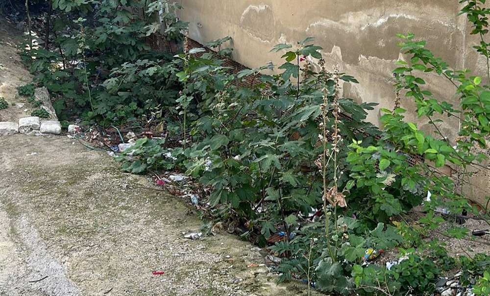Mahalleli Bu Apartmandan Şikayetçi