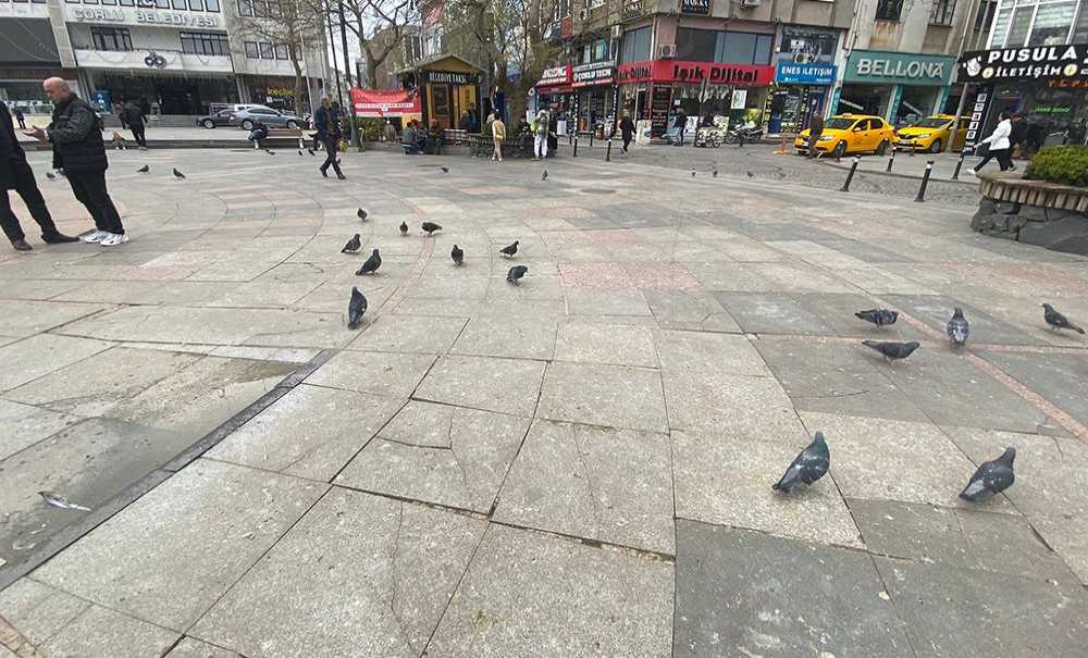 Meydandaki Kuş Pislikleri Tepki Çekiyor