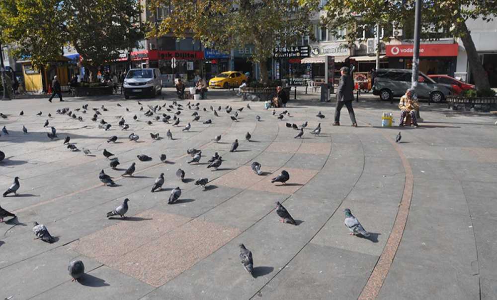 Meydandaki Kuş Pislikleri Tepki Çekiyor