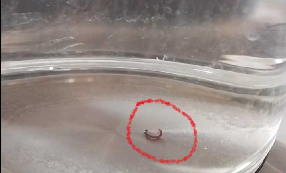 Musluktan Akan Su Görenleri Şaşırtıyor