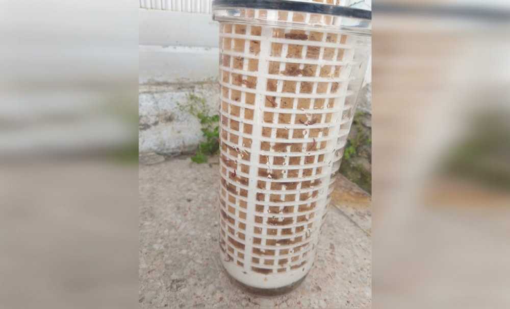 Musluktan Akan Su Görenleri Şaşırtıyor