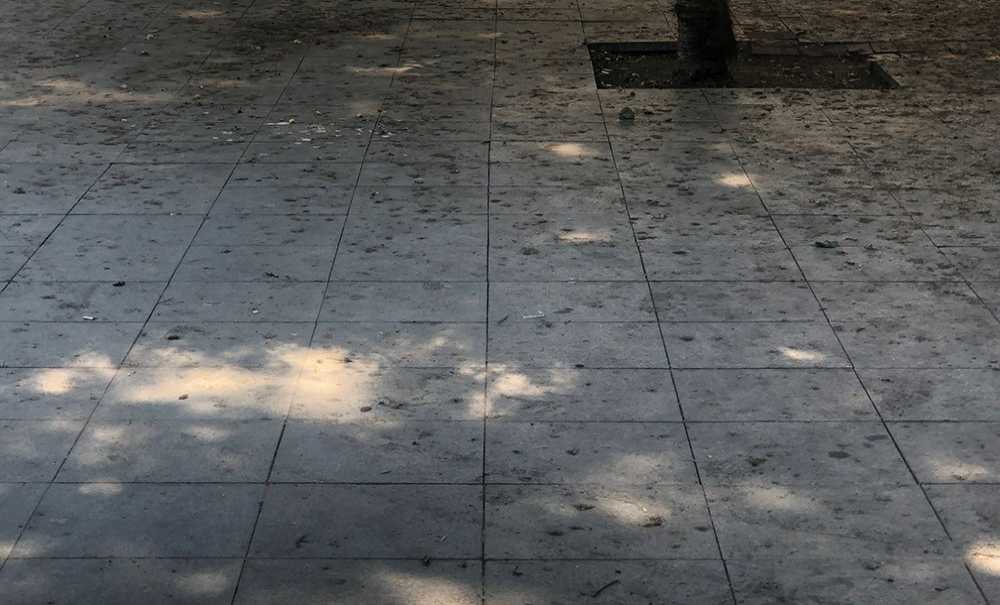 Müzenin Etrafı Bakımsız Ve Pis