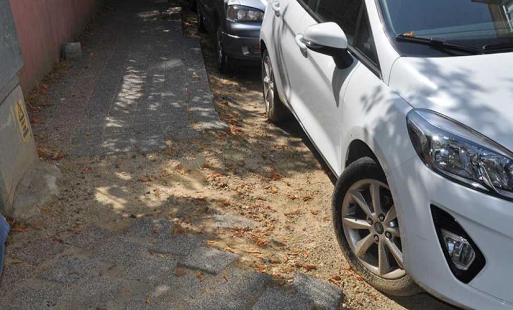 Okul Yolu, Dert Yolu