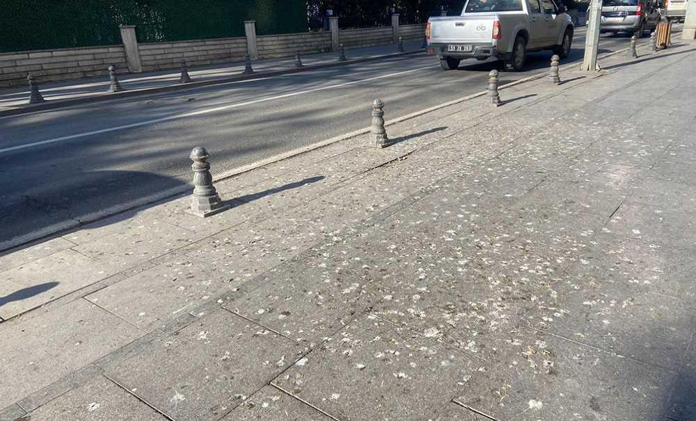 Omurtak Caddesi'ne Yakışmayan Görüntüler