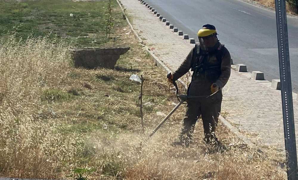 Ot Biçme Çalışmaları Sürüyor