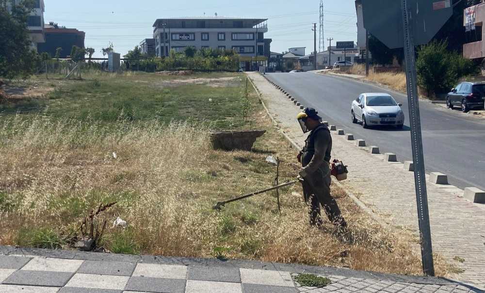 Ot Biçme Çalışmaları Sürüyor