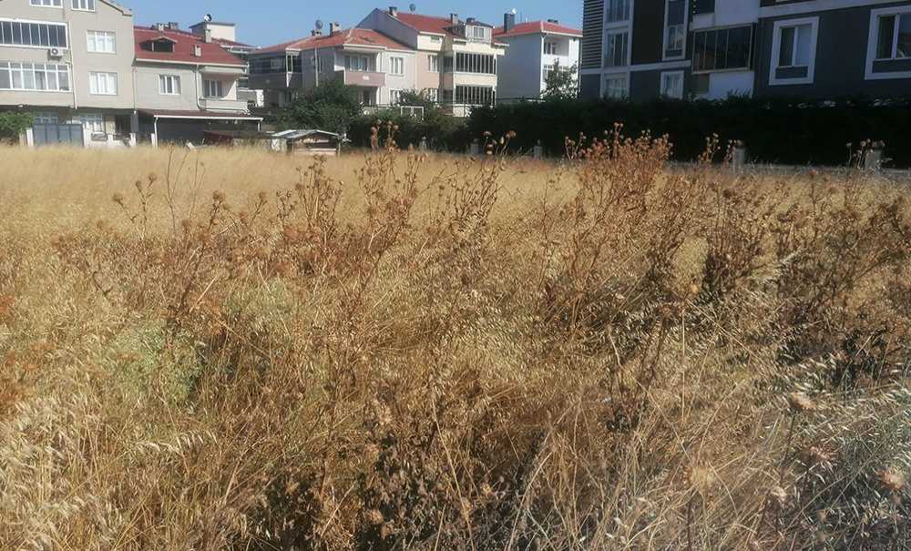 Otluk Alanlar Yangın Tehlikesi Saçıyor