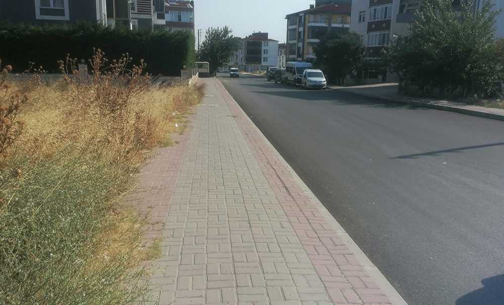 Otluk Alanlar Yangın Tehlikesi Saçıyor