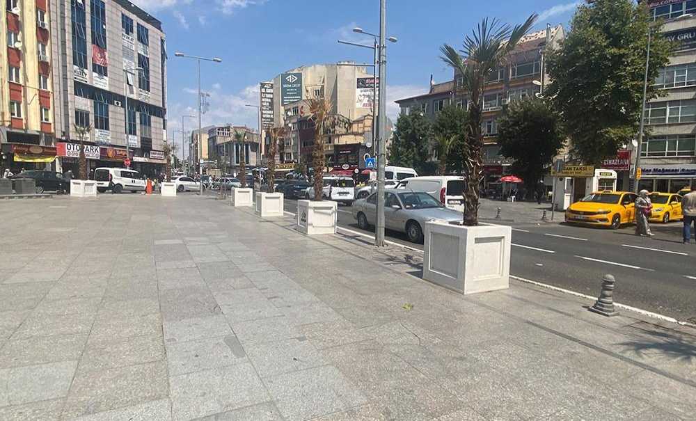 Palmiye Ağaçları Bir Bir Kuruyor!