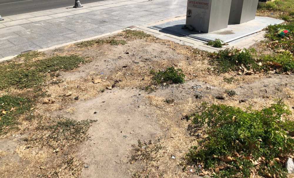 Park Kaderine Terk Edildi!