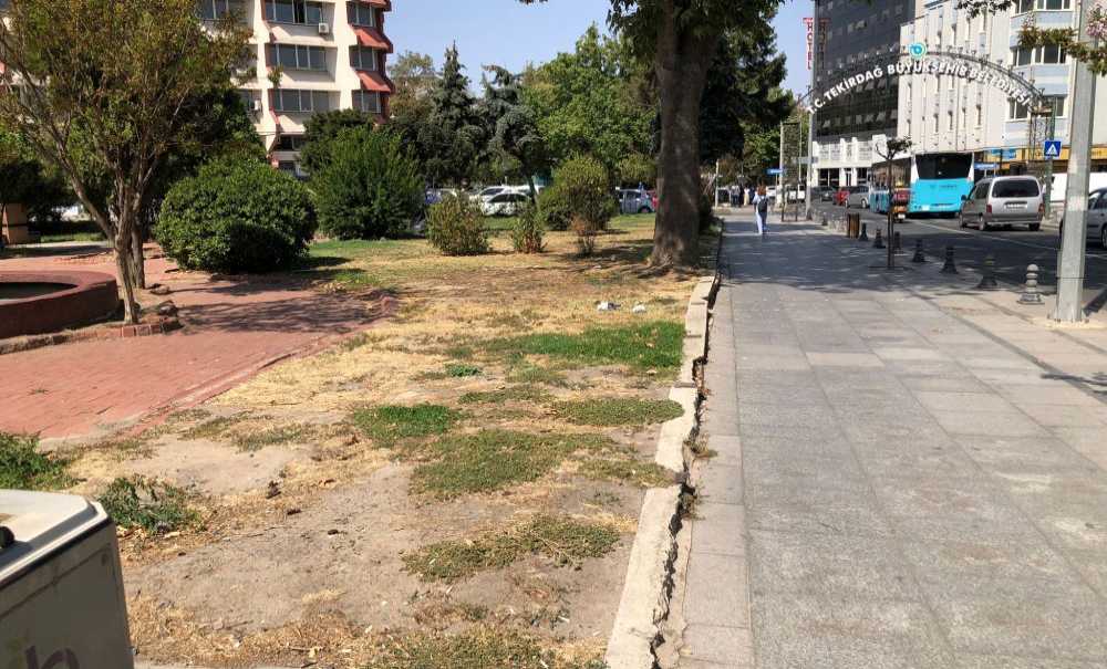 Park Kaderine Terk Edildi!