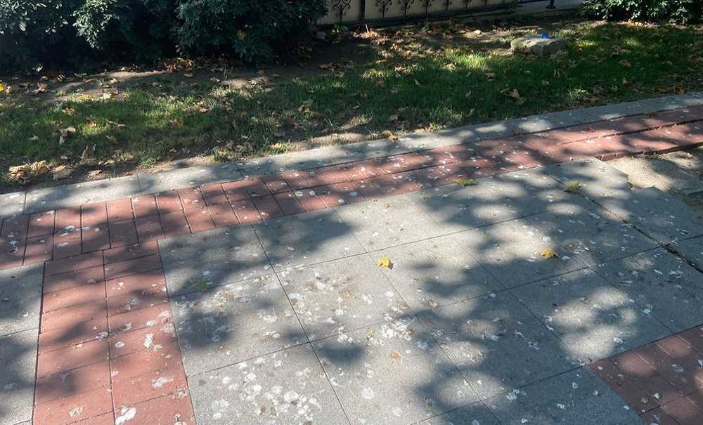 Parklardaki Kirlilik Tepki Çekiyor