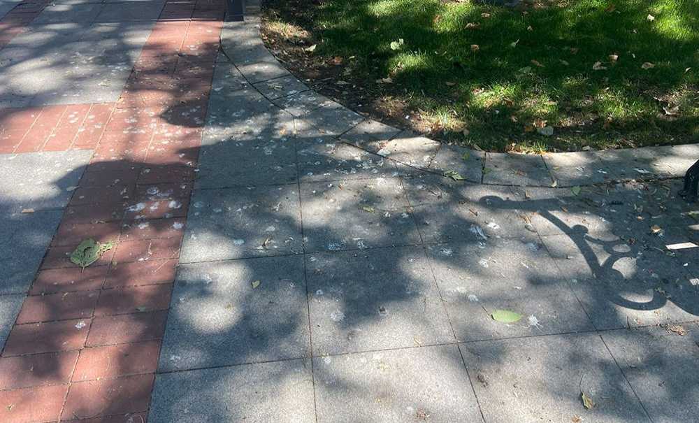 Parklardaki Kirlilik Tepki Çekiyor
