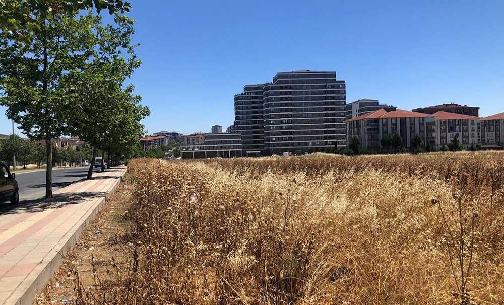 Pazar Yeri Projesi Unutuldu Mu?